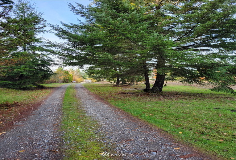 17607 Mima Acres, Tenino, Washington 98589, 3 Bedrooms Bedrooms, ,1 BathroomBathrooms,Residential,For Sale,Mima Acres,Mima Acres,NWM1864085