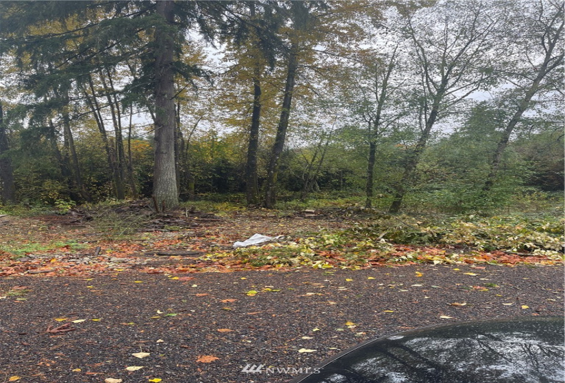 21542 Wax Road, Maple Valley, Washington 98038, ,Land,For Sale,Wax Road,NWM1864529
