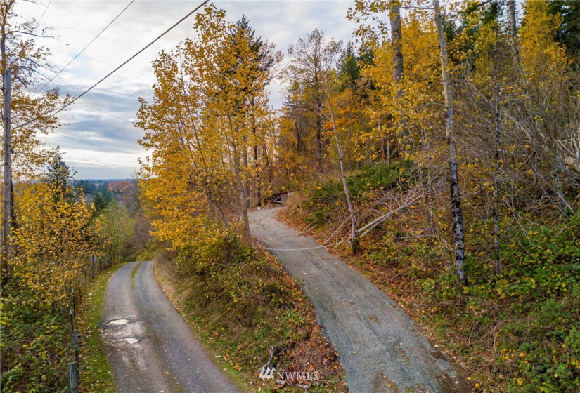 14405 399th Whiteman Road, Gold Bar, Washington 98251, ,Land,For Sale,399th Whiteman Road,NWM1864184