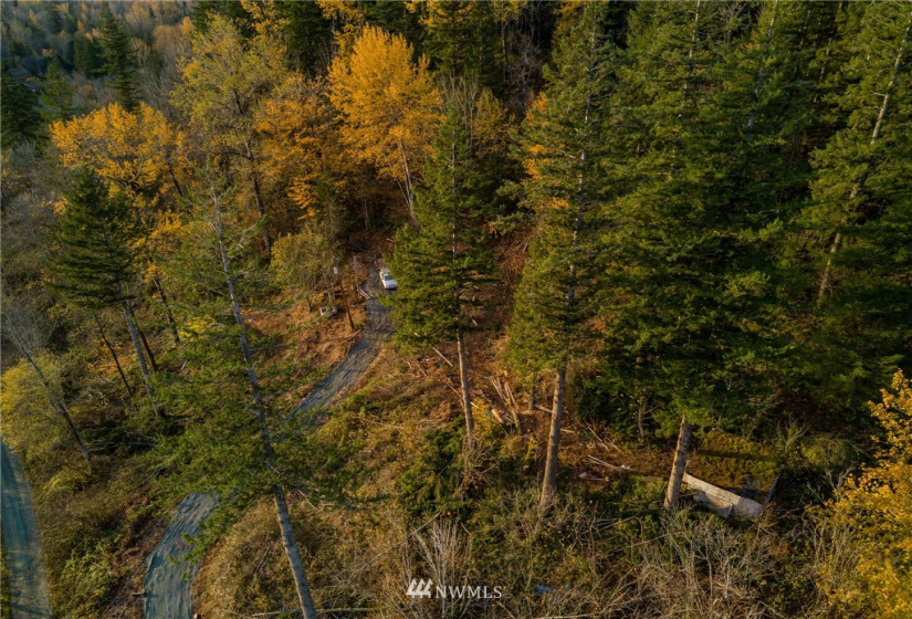 14405 399th Whiteman Road, Gold Bar, Washington 98251, ,Land,For Sale,399th Whiteman Road,NWM1864184
