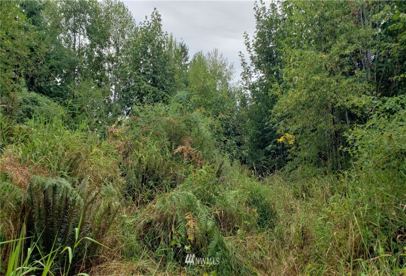 233 XX 197th, Orting, Washington 98360, ,Land,For Sale,197th,NWM1864680
