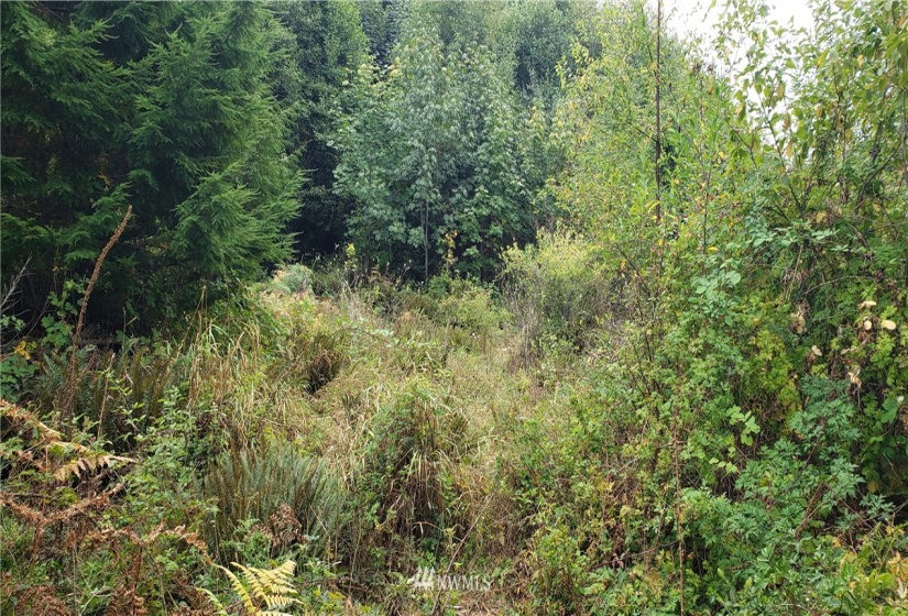 233 XX 197th, Orting, Washington 98360, ,Land,For Sale,197th,NWM1864680