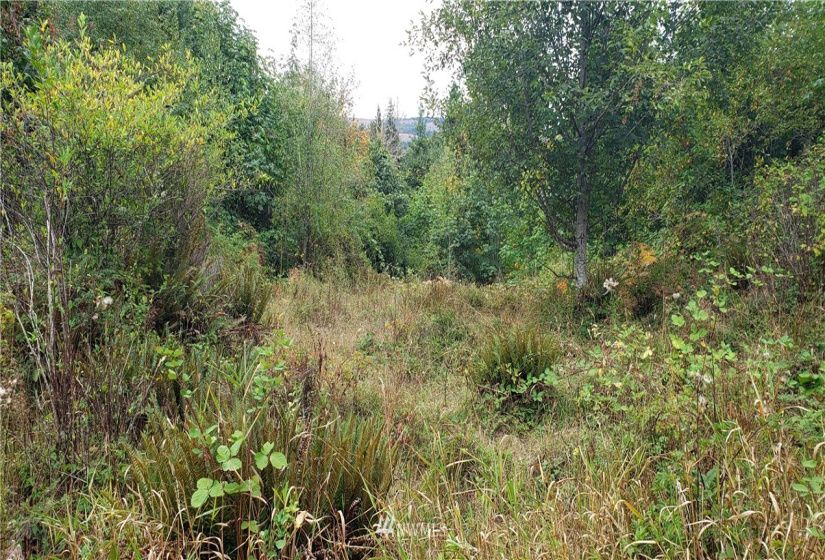 233 XX 197th, Orting, Washington 98360, ,Land,For Sale,197th,NWM1864680