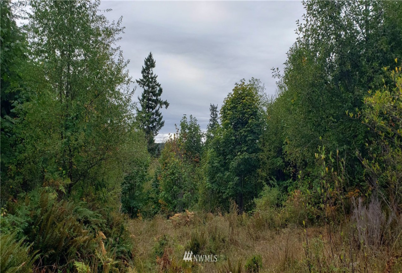 233 XX 197th, Orting, Washington 98360, ,Land,For Sale,197th,NWM1864680