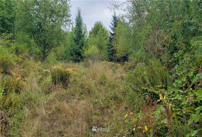 233 XX 197th, Orting, Washington 98360, ,Land,For Sale,197th,NWM1864680