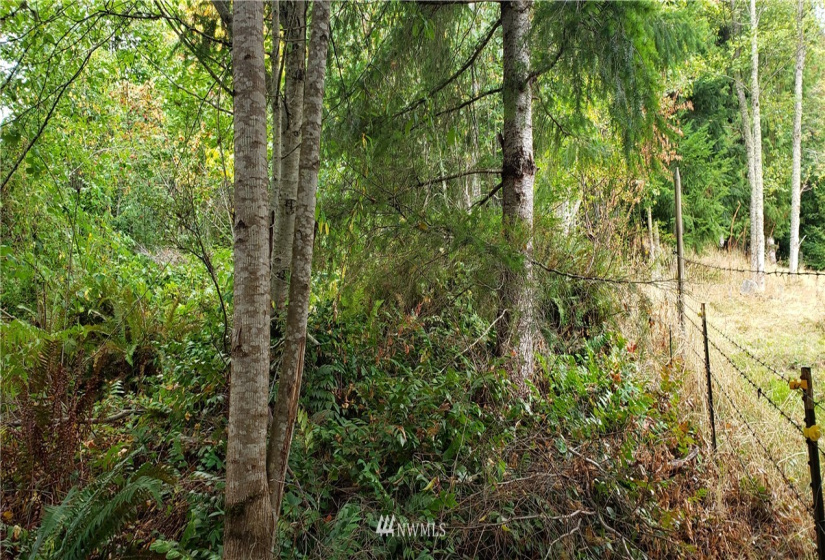 233 XX 197th, Orting, Washington 98360, ,Land,For Sale,197th,NWM1864680