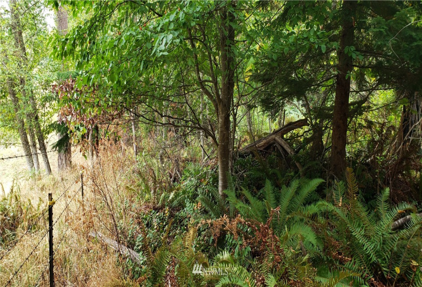 233 XX 197th, Orting, Washington 98360, ,Land,For Sale,197th,NWM1864680