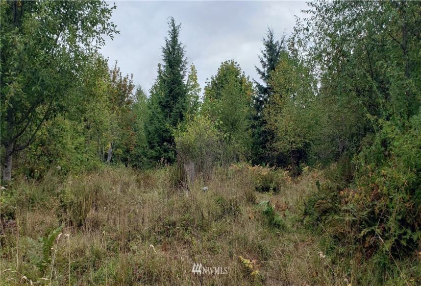233 XX 197th, Orting, Washington 98360, ,Land,For Sale,197th,NWM1864680