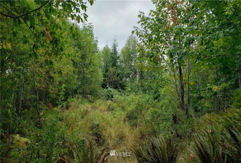 233 XX 197th, Orting, Washington 98360, ,Land,For Sale,197th,NWM1864680