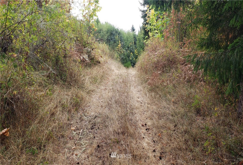 234 XX 197th, Orting, Washington 98360, ,Land,For Sale,197th,NWM1864681