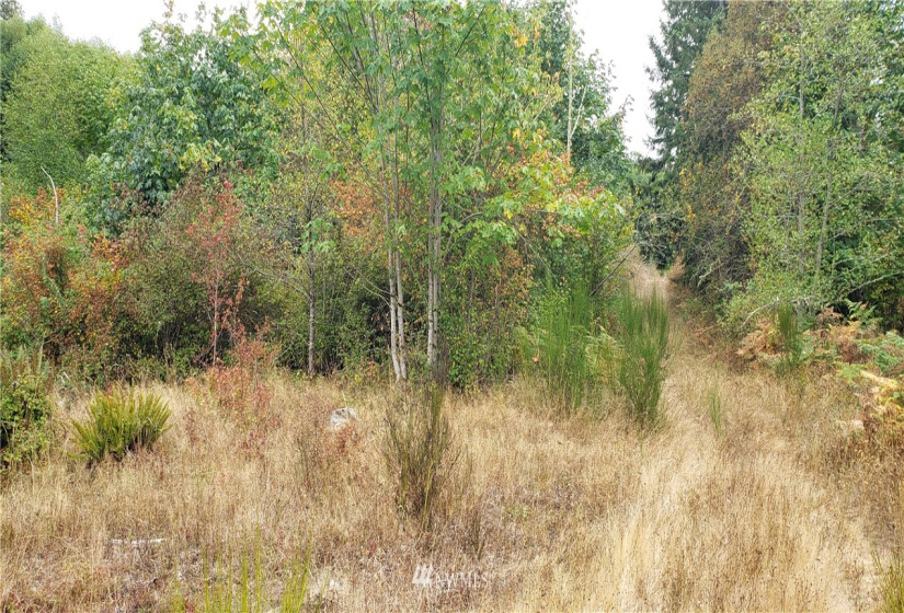 234 XX 197th, Orting, Washington 98360, ,Land,For Sale,197th,NWM1864681
