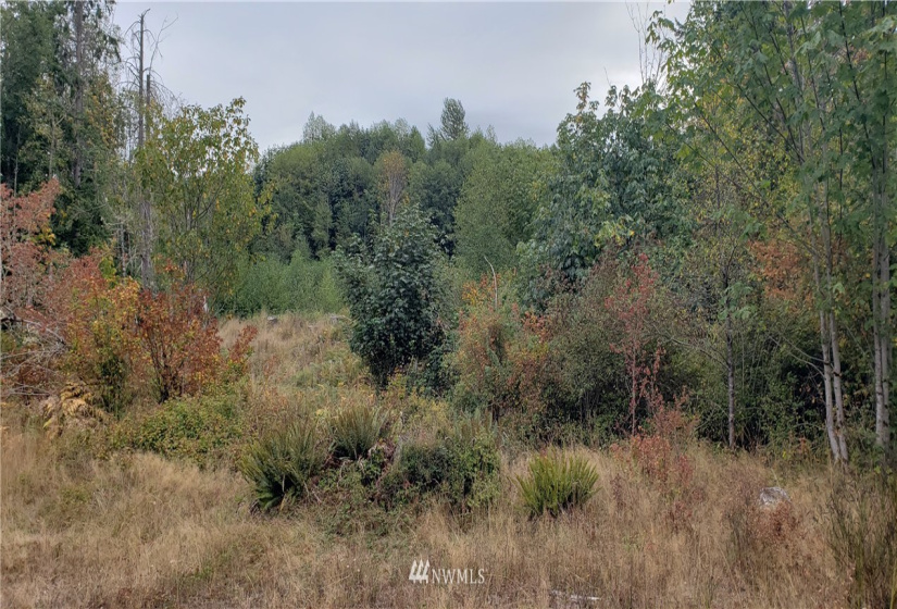 234 XX 197th, Orting, Washington 98360, ,Land,For Sale,197th,NWM1864681