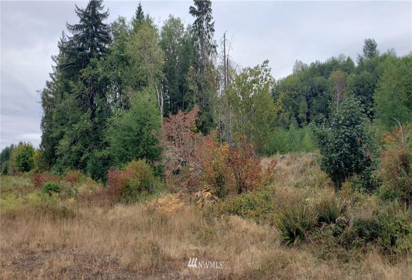 234 XX 197th, Orting, Washington 98360, ,Land,For Sale,197th,NWM1864681