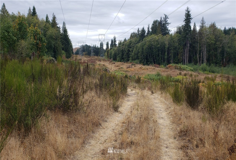 234 XX 197th, Orting, Washington 98360, ,Land,For Sale,197th,NWM1864681