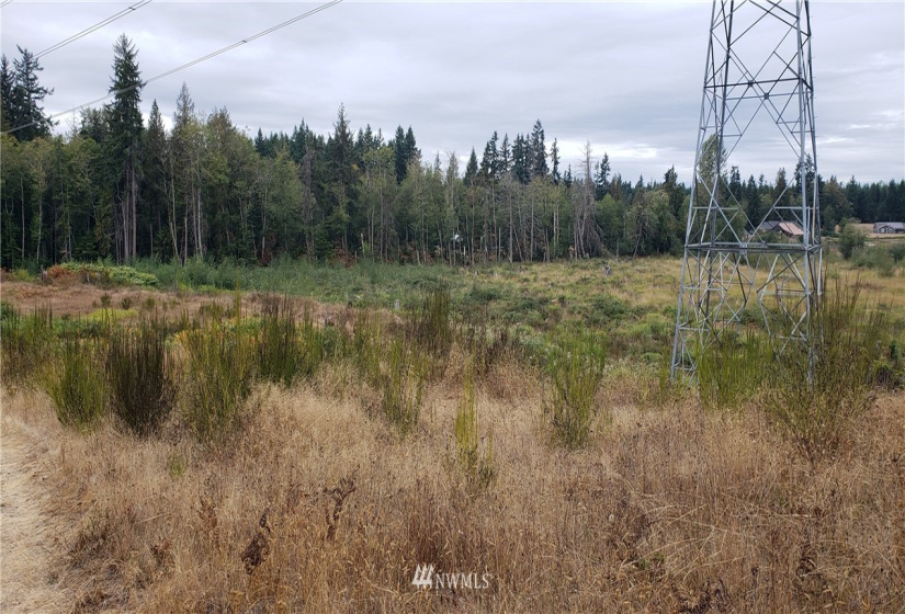234 XX 197th, Orting, Washington 98360, ,Land,For Sale,197th,NWM1864681