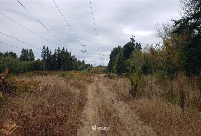 234 XX 197th, Orting, Washington 98360, ,Land,For Sale,197th,NWM1864681
