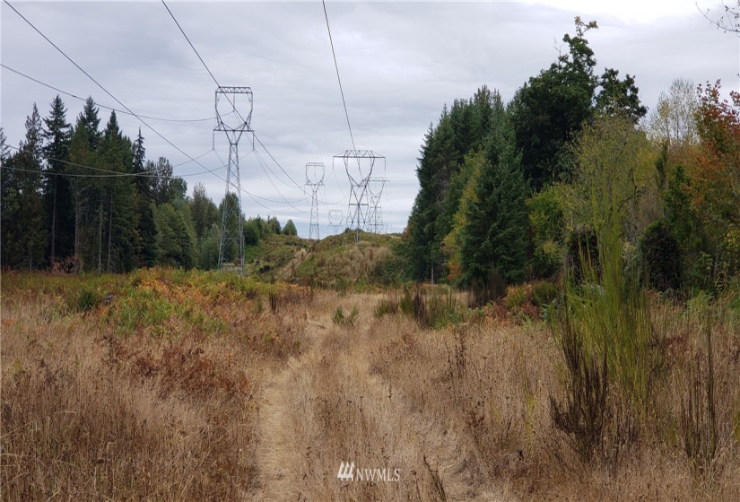 234 XX 197th, Orting, Washington 98360, ,Land,For Sale,197th,NWM1864681