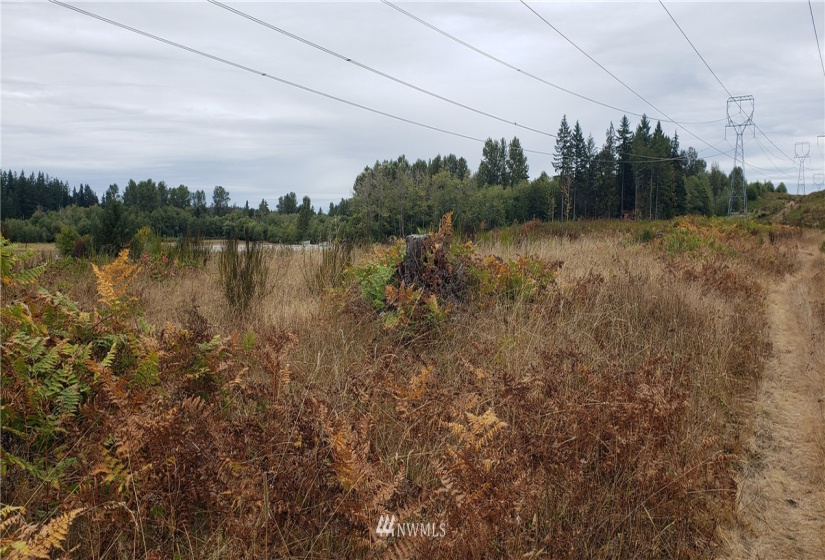 234 XX 197th, Orting, Washington 98360, ,Land,For Sale,197th,NWM1864681