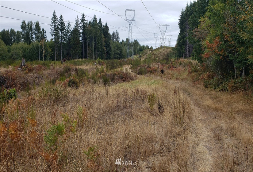 234 XX 197th, Orting, Washington 98360, ,Land,For Sale,197th,NWM1864681