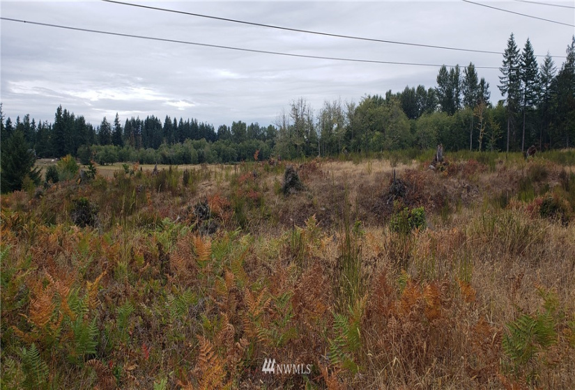 234 XX 197th, Orting, Washington 98360, ,Land,For Sale,197th,NWM1864681