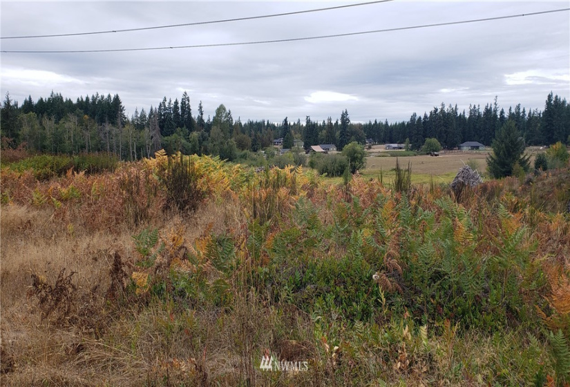 234 XX 197th, Orting, Washington 98360, ,Land,For Sale,197th,NWM1864681