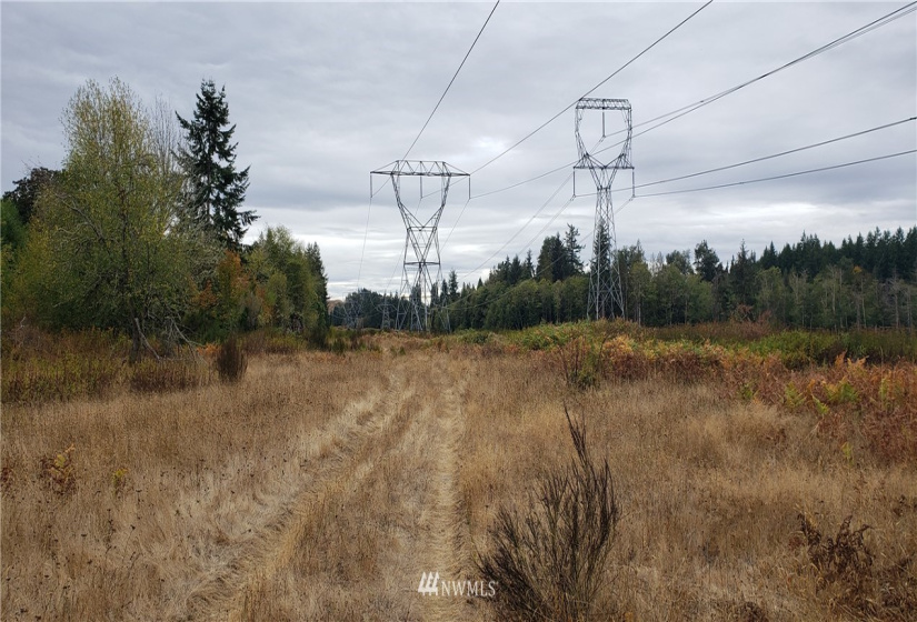 234 XX 197th, Orting, Washington 98360, ,Land,For Sale,197th,NWM1864681