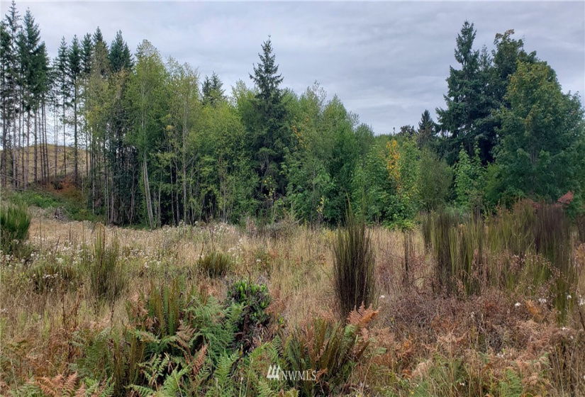 234 XX 197th, Orting, Washington 98360, ,Land,For Sale,197th,NWM1864681