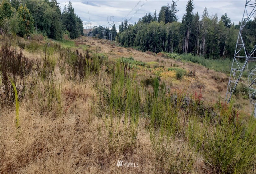 234 XX 197th, Orting, Washington 98360, ,Land,For Sale,197th,NWM1864681