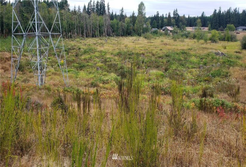 234 XX 197th, Orting, Washington 98360, ,Land,For Sale,197th,NWM1864681