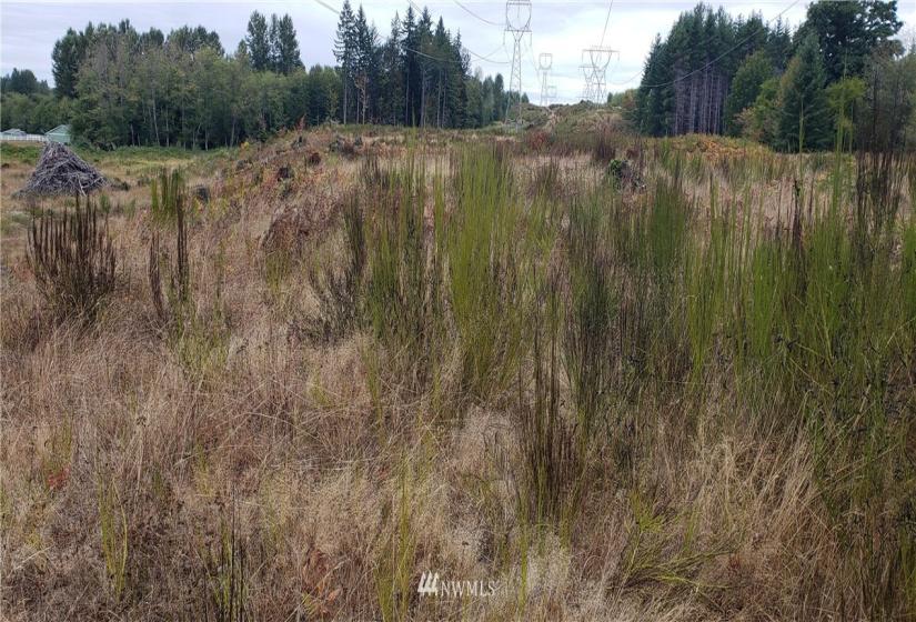 234 XX 197th, Orting, Washington 98360, ,Land,For Sale,197th,NWM1864681