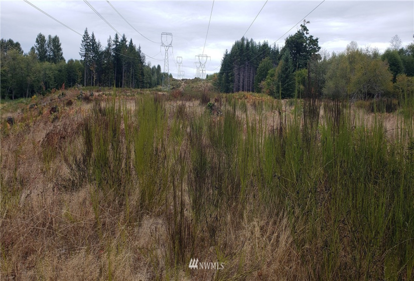 234 XX 197th, Orting, Washington 98360, ,Land,For Sale,197th,NWM1864681