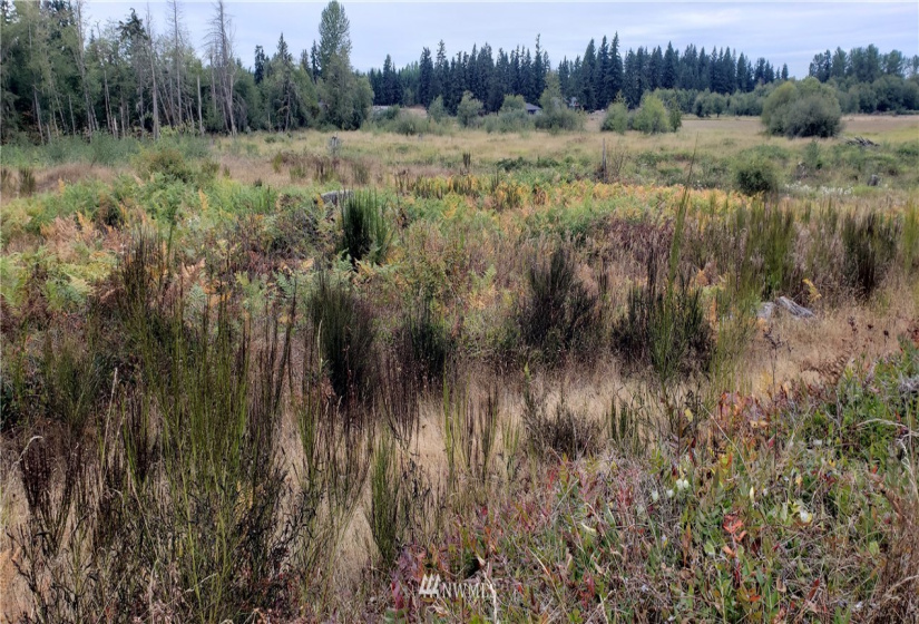 234 XX 197th, Orting, Washington 98360, ,Land,For Sale,197th,NWM1864681