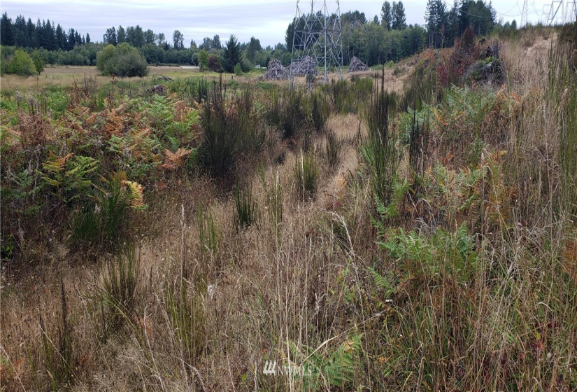 234 XX 197th, Orting, Washington 98360, ,Land,For Sale,197th,NWM1864681