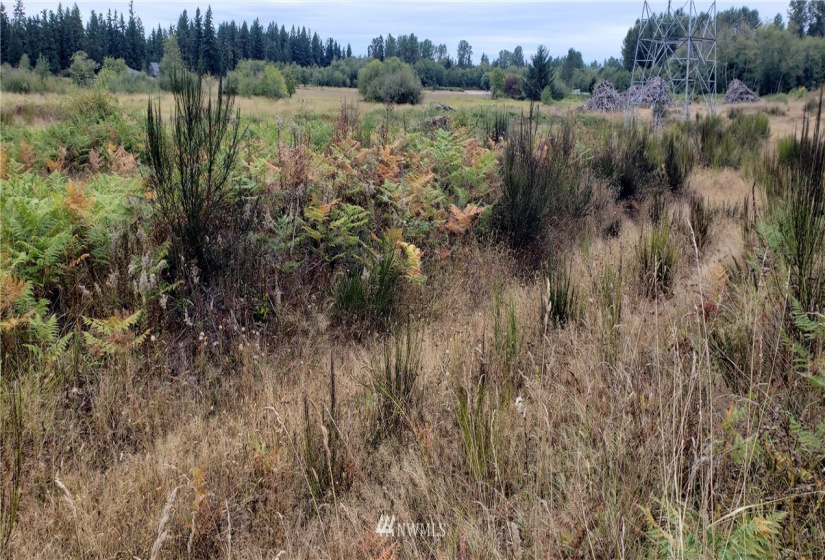 234 XX 197th, Orting, Washington 98360, ,Land,For Sale,197th,NWM1864681