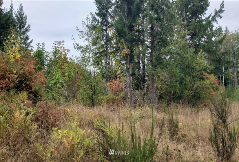 234 XX 197th, Orting, Washington 98360, ,Land,For Sale,197th,NWM1864681