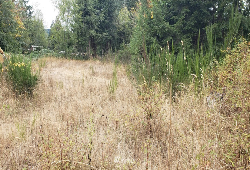 234 XX 197th, Orting, Washington 98360, ,Land,For Sale,197th,NWM1864681