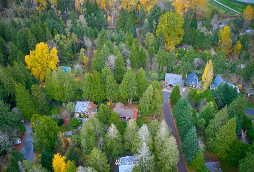 65 Calgary, Point Roberts, Washington 98281, 2 Bedrooms Bedrooms, ,2 BathroomsBathrooms,Residential,For Sale,Delta View No. 3,Calgary,NWM1859817