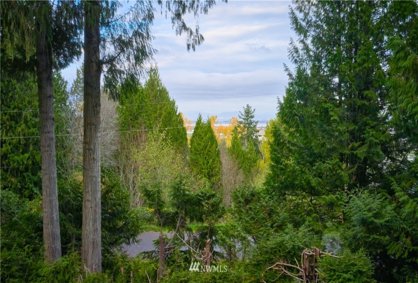 65 Calgary, Point Roberts, Washington 98281, 2 Bedrooms Bedrooms, ,2 BathroomsBathrooms,Residential,For Sale,Delta View No. 3,Calgary,NWM1859817