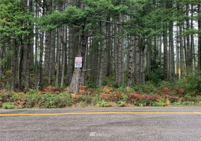 1070 Phillips Lake, Shelton, Washington 98584, ,Land,For Sale,Phillips Lake Div 6,Phillips Lake,NWM1863188