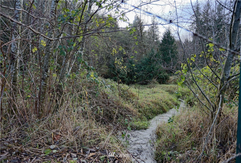 8480 US Hwy 12, Glenoma, Washington 98336, 3 Bedrooms Bedrooms, ,1 BathroomBathrooms,Residential,For Sale,US Hwy 12,NWM1864894
