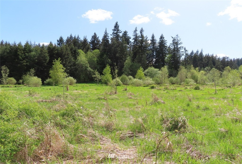 0 Lot 3 State Route 6, Chehalis, Washington 98532, ,Land,For Sale,State Route 6,NWM1865037