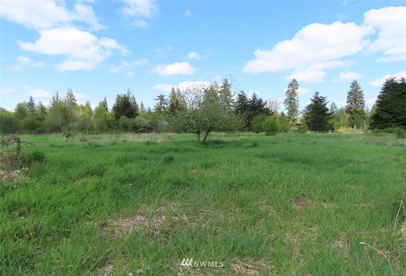 0 Lot 3 State Route 6, Chehalis, Washington 98532, ,Land,For Sale,State Route 6,NWM1865037