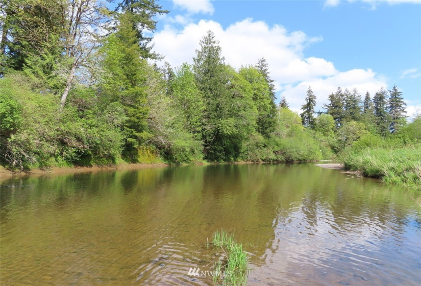 0 Lot 3 State Route 6, Chehalis, Washington 98532, ,Land,For Sale,State Route 6,NWM1865037