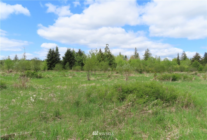 0 Lot 3 State Route 6, Chehalis, Washington 98532, ,Land,For Sale,State Route 6,NWM1865037