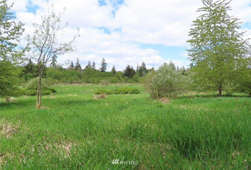 0 Lot 3 State Route 6, Chehalis, Washington 98532, ,Land,For Sale,State Route 6,NWM1865037