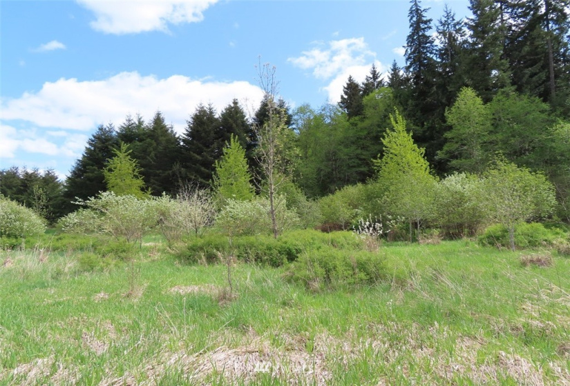 0 Lot 3 State Route 6, Chehalis, Washington 98532, ,Land,For Sale,State Route 6,NWM1865037