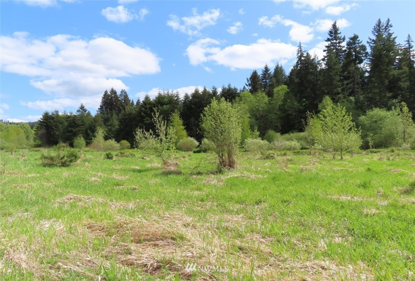 0 Lot 3 State Route 6, Chehalis, Washington 98532, ,Land,For Sale,State Route 6,NWM1865037