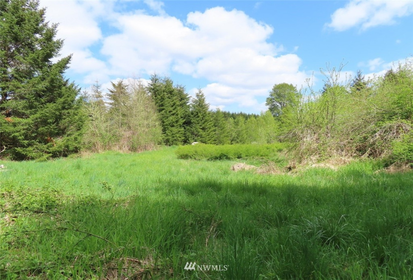 0 Lot 3 State Route 6, Chehalis, Washington 98532, ,Land,For Sale,State Route 6,NWM1865037