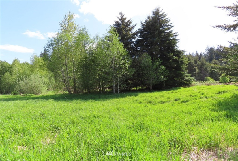 0 Lot 3 State Route 6, Chehalis, Washington 98532, ,Land,For Sale,State Route 6,NWM1865037