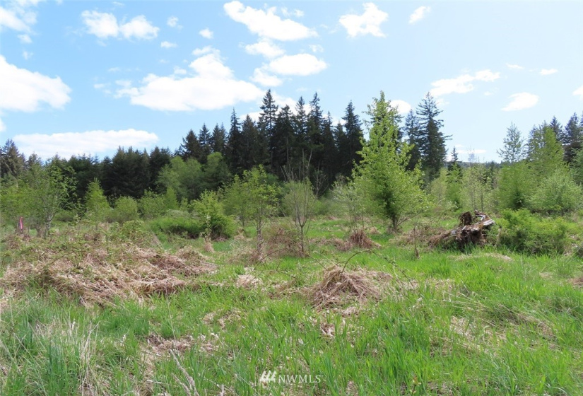 0 Lot 3 State Route 6, Chehalis, Washington 98532, ,Land,For Sale,State Route 6,NWM1865037
